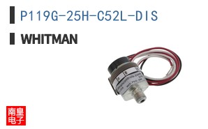 P119G-25H-C52L-DIS ͼƬ